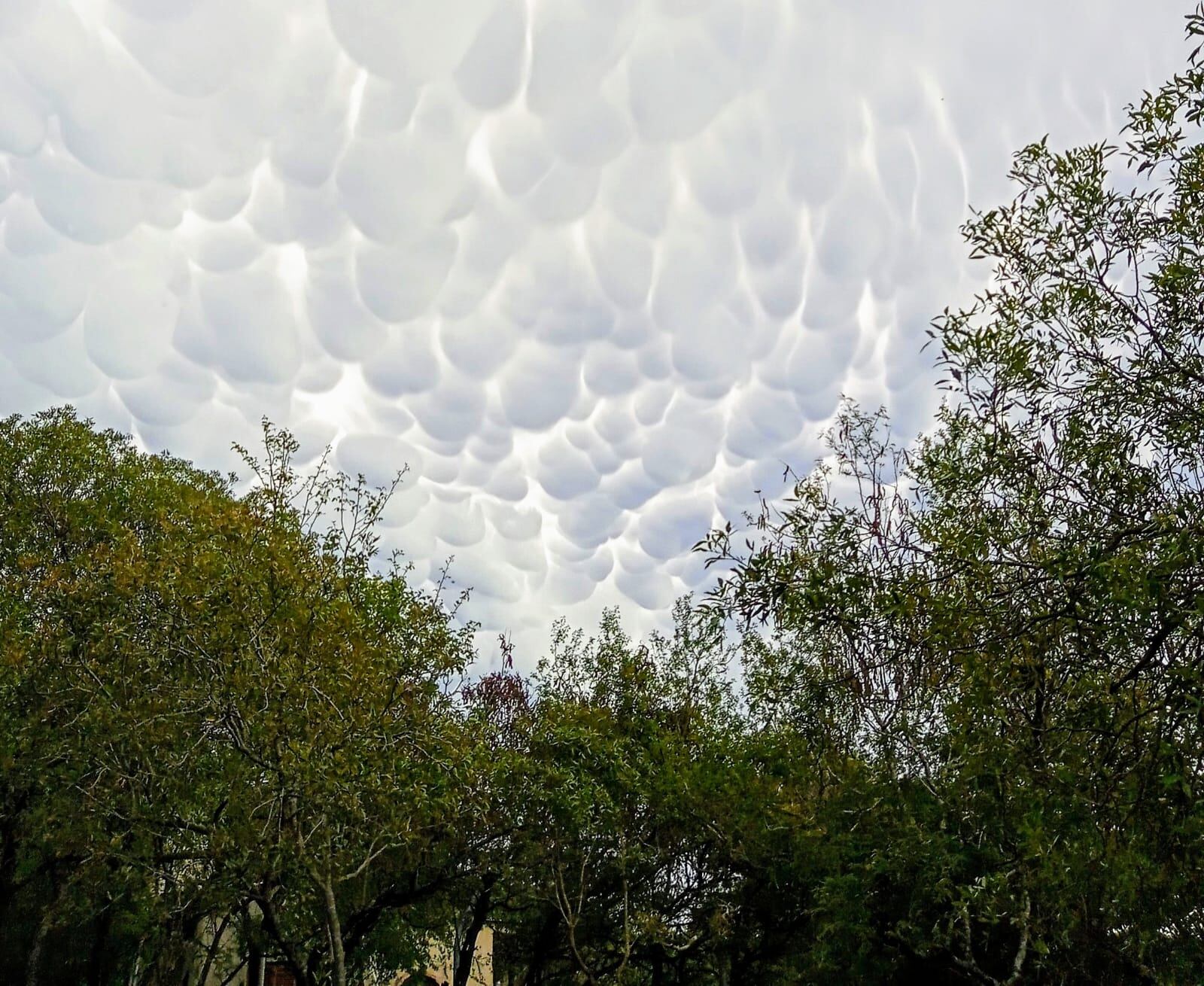 Nubes mammatus. En Unquillo.