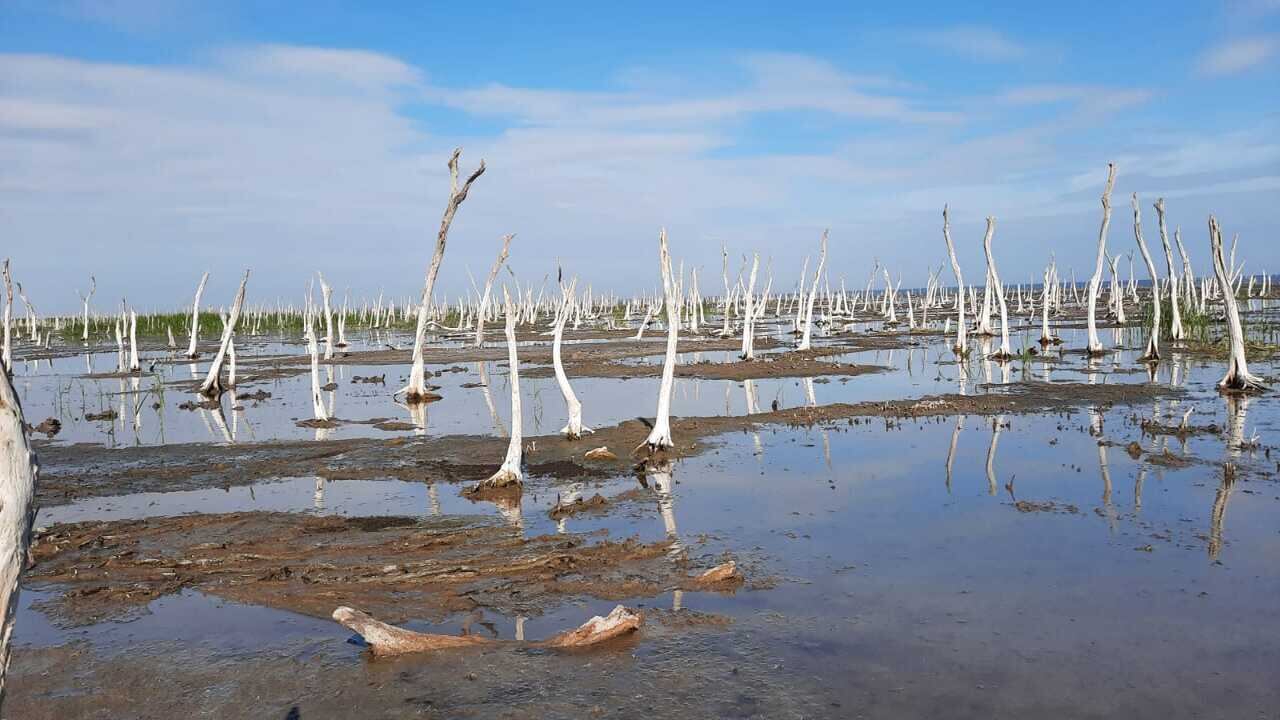 Laguna Mar Chiquita y Bañados del Río Dulce.