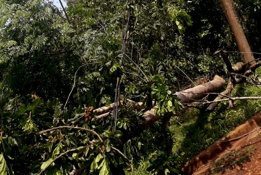 Algunas zonas de Eldorado continúan sin energía eléctrica luego del fuerte temporal.