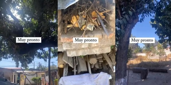 Así es la casa de Antonio, el cocinero de MasterChef, en Salta.