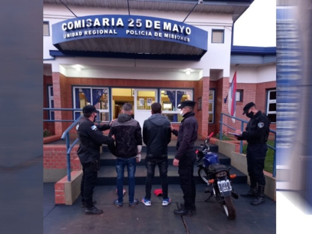 Dos jóvenes terminaron detenidos por robar cerdos a productores