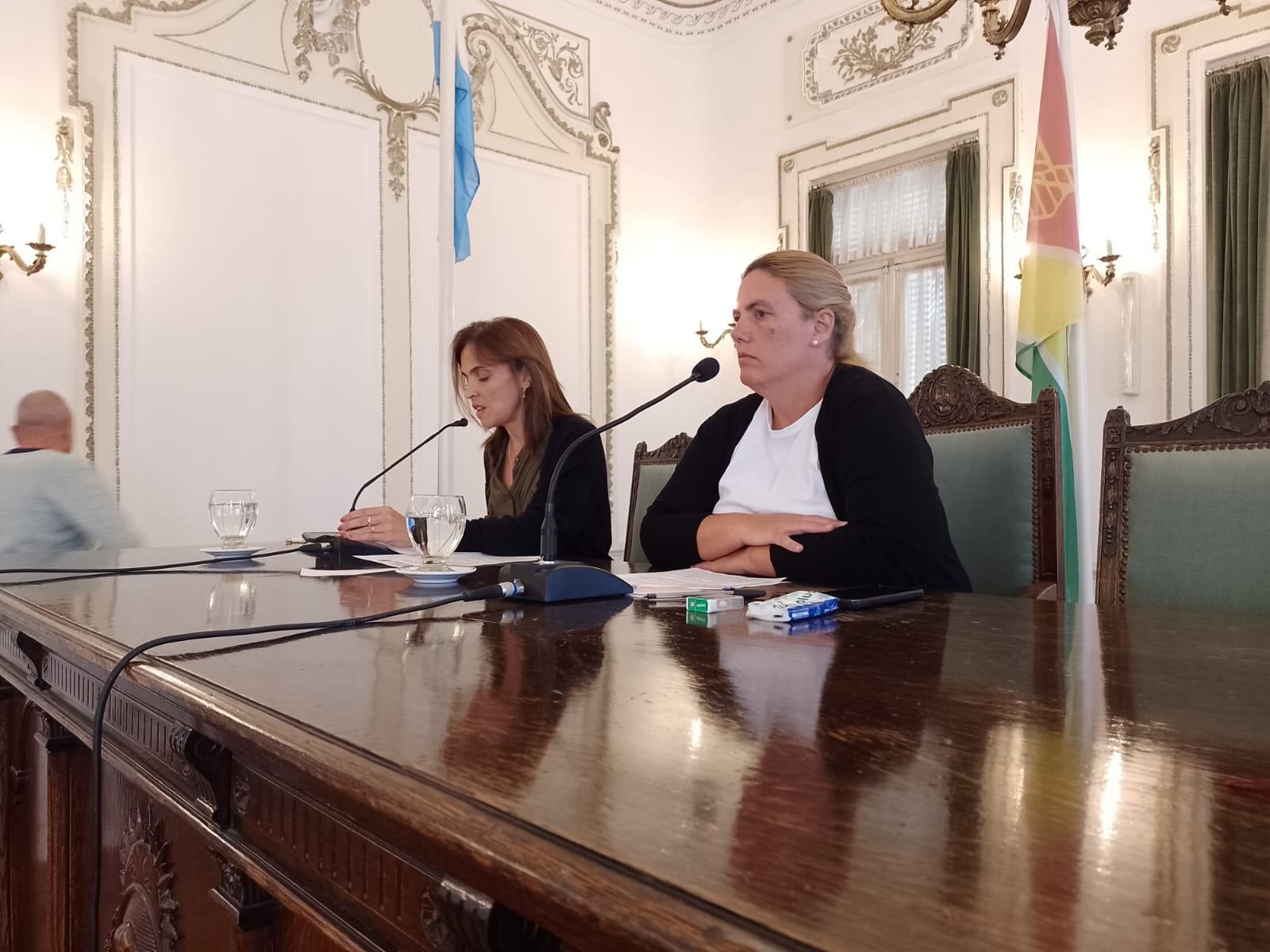 Resumen sesión ordinaria del  Honorable Concejo Deliberante de Tres Arroyos