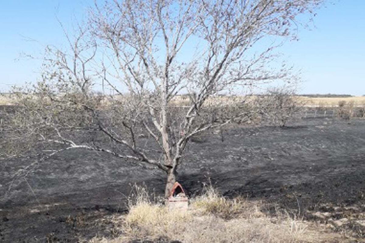 “Creer o reventar”: un incendio quemó todo un campo de Córdoba menos la gruta del Gauchito Gil