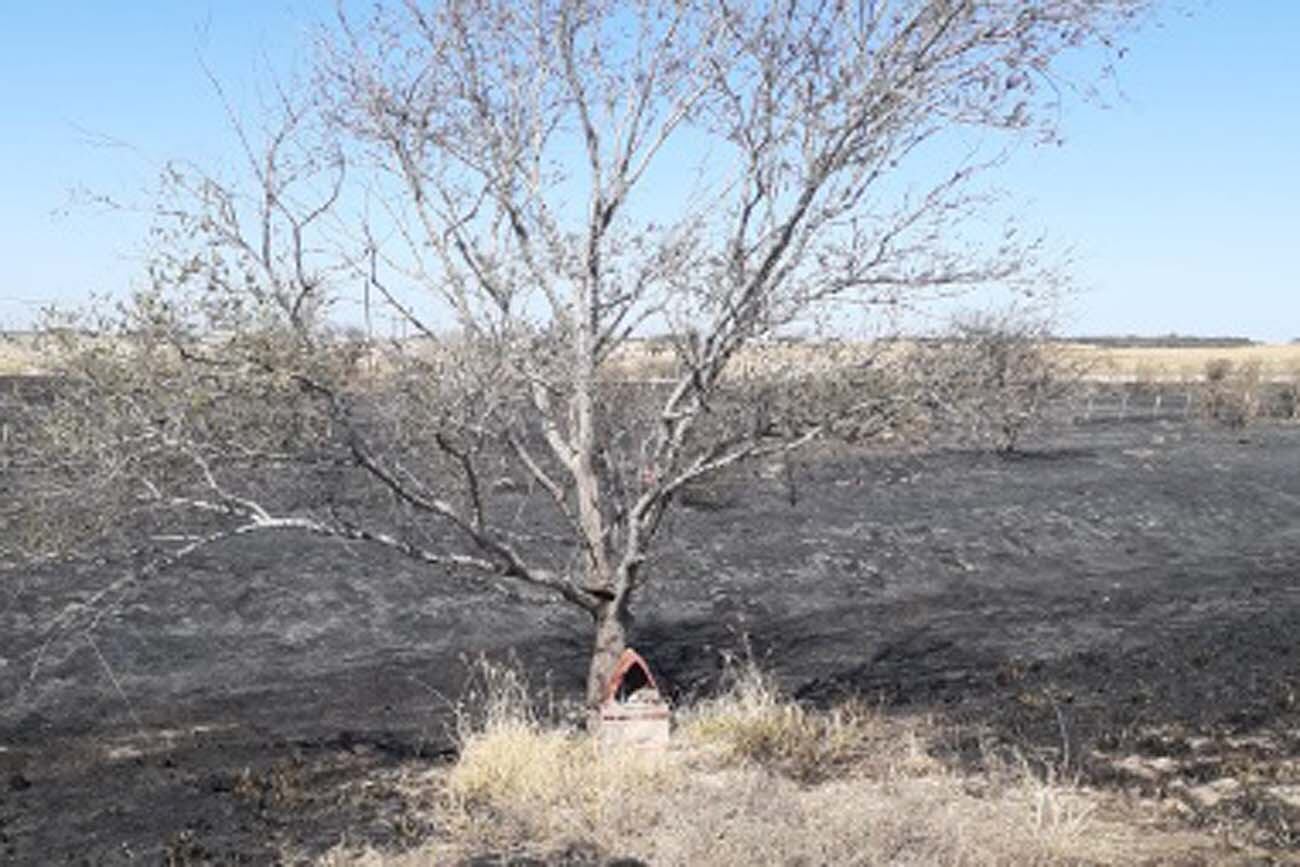 Obispo Trejo. Una ermita del Gauchito Gil sobrevivió a un incendio forestal (La Voz).