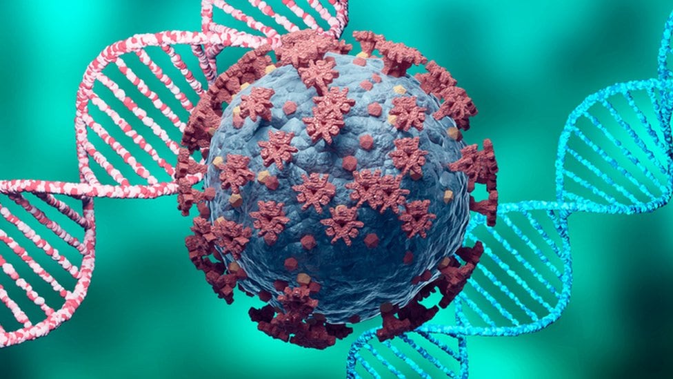 La variante Manaos del coronavirus