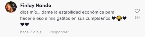 La reacción en las redes del festejo de 15 años de Clarita la perrita.