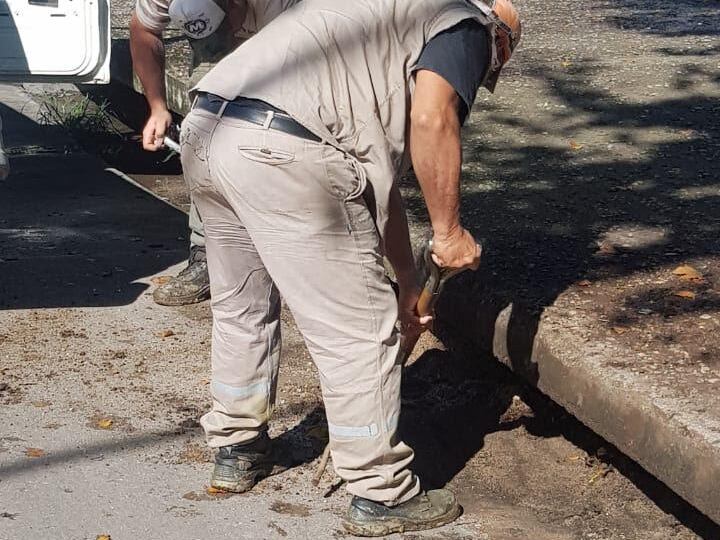 Limpieza de bocas de tormenta y desagües en diferentes sectores de la ciudad.