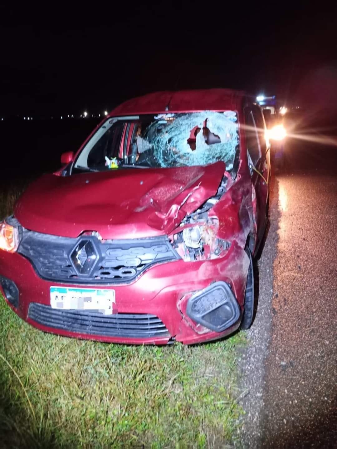 Un matrimonio impactó contra un inesperado animal en la autopista Córdoba-Rosario.