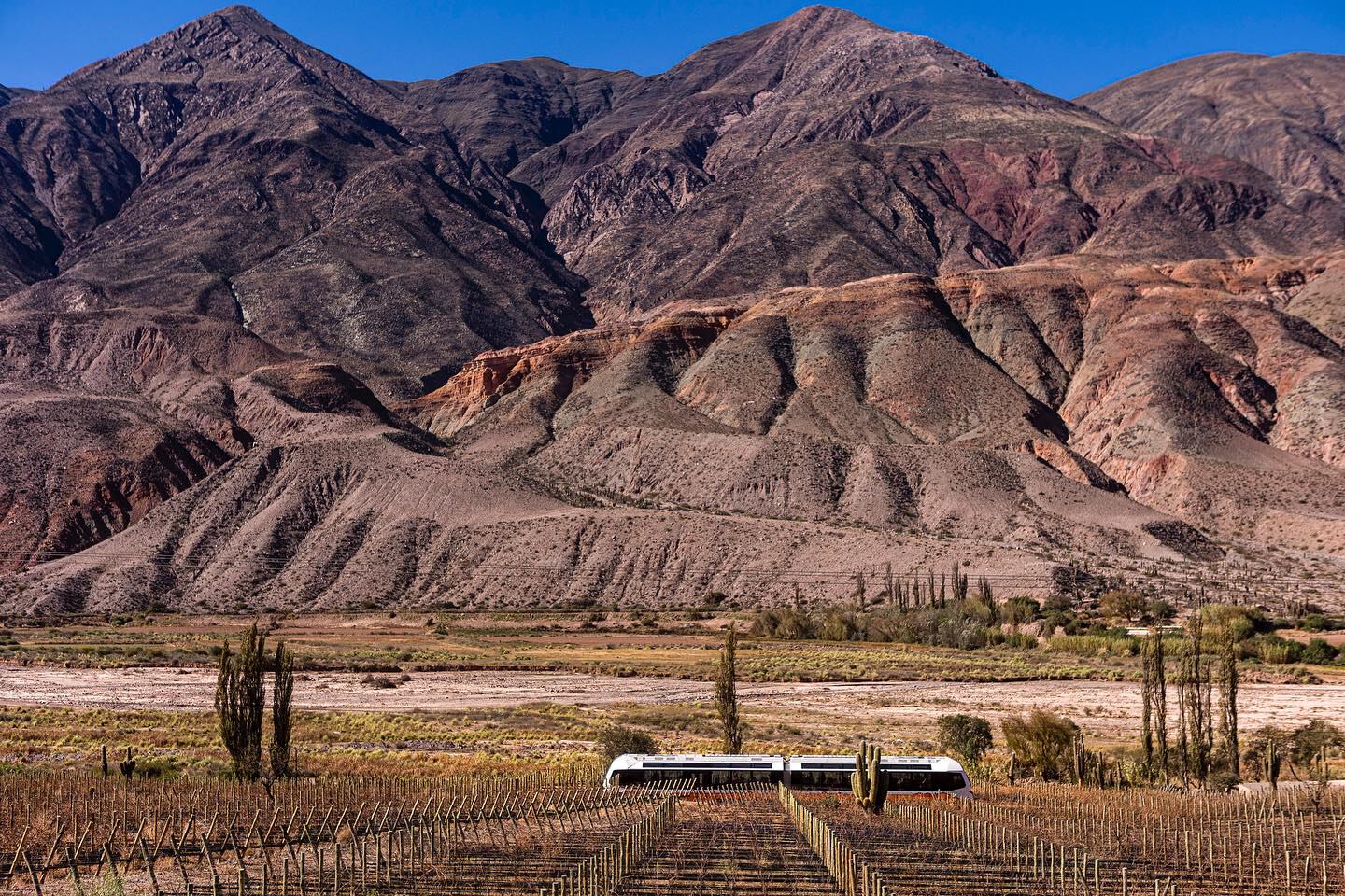 Único en el mundo, el Tren eléctrico Solar de la Quebrada circula entre las montañas de Jujuy a más de 2.000 msnm.