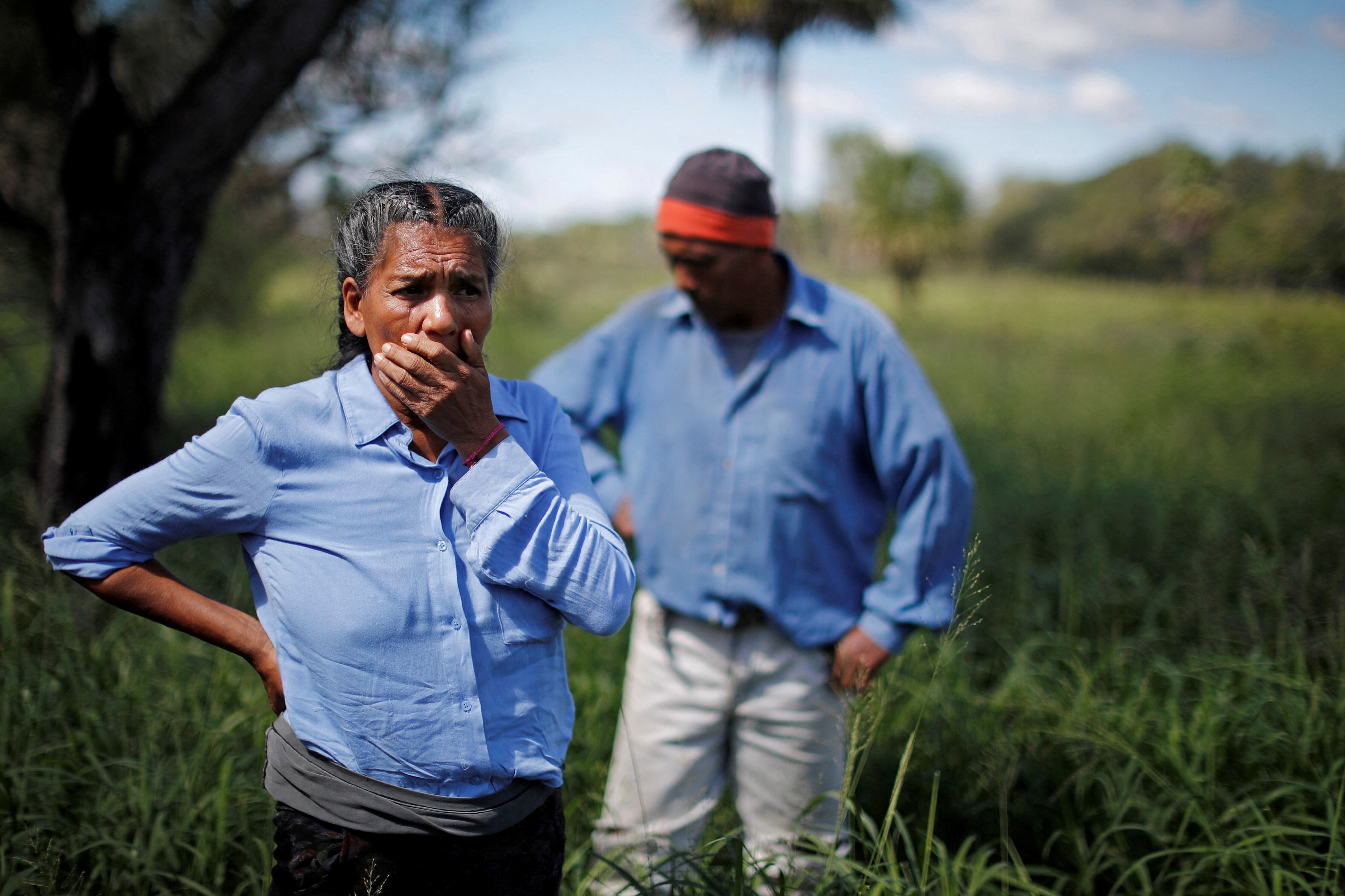 El Gran Chaco está enfrentando creciente presión ante la expansión del cultivo de soja y la cría de ganado para cumplir con la demanda global de alimentos.