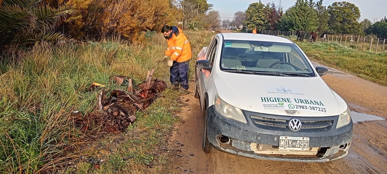 Higiene Urbana de Tres Arroyos llevó adelante distintas tareas durante la semana