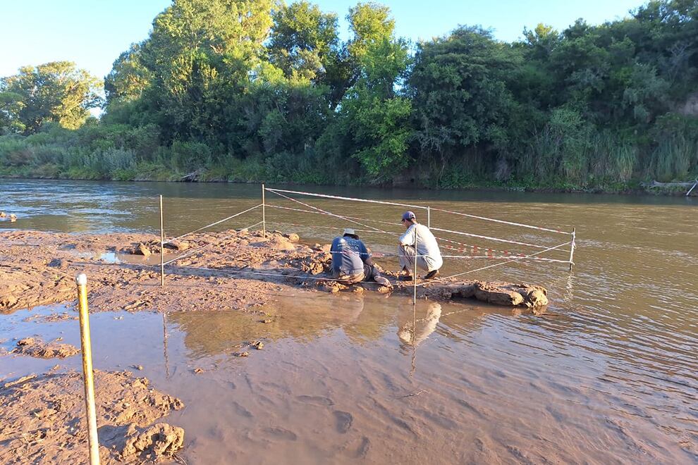 Encontraron restos de un gliptodonte en Córdoba. (Fotos: Gobierno de Córdoba)