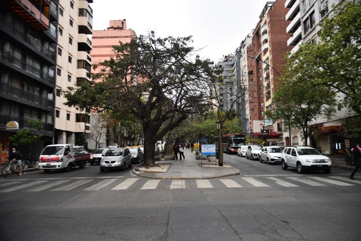 Córdoba: se cruzó una joven “que no podía caminar del pedo” y tuvo un noble gesto que se viralizó