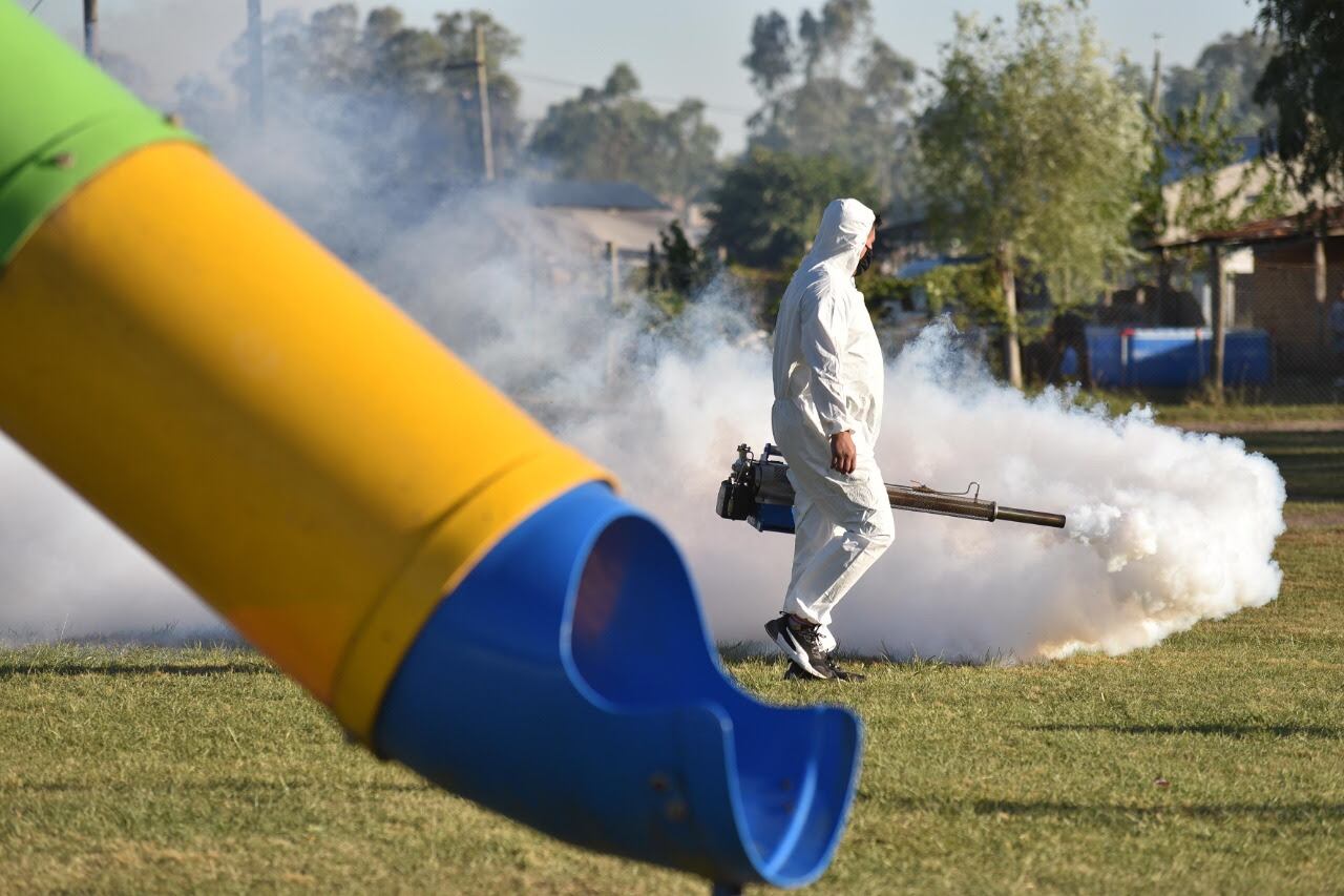 Las fumigaciones se realizan en espacios públicos y espacios verdes del Partido.