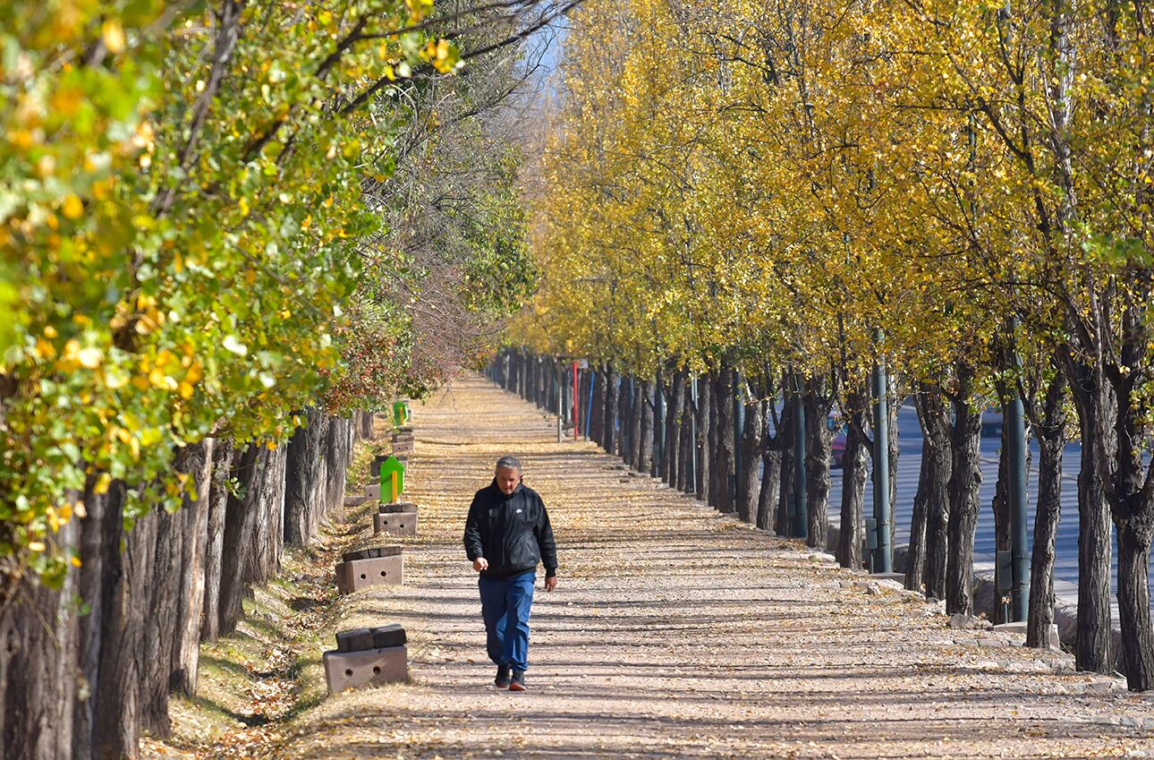 ¿Y el frío? Hasta cuándo seguirán los días primaverales en Mendoza