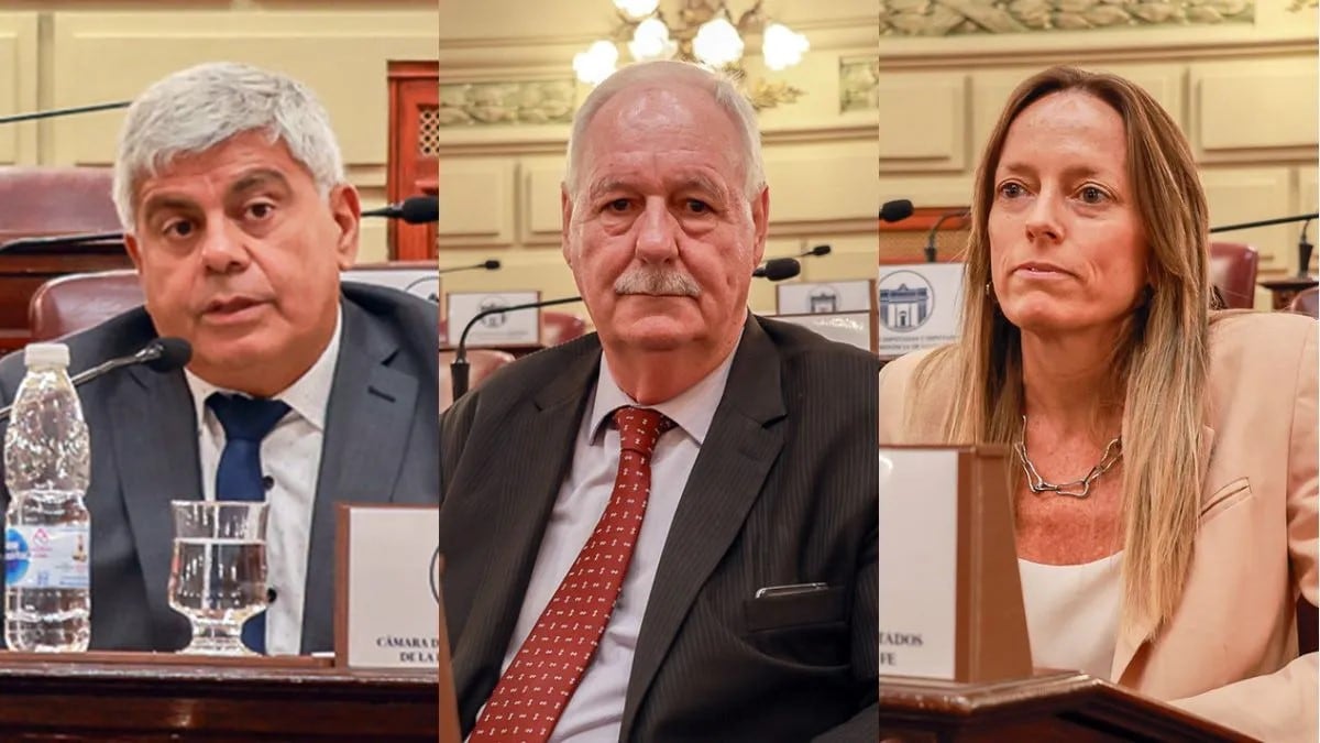 Los pliegos de Jorge Baclini, Rubén Weder y Margarita Zabalza fueron aprobados por amplia mayoría