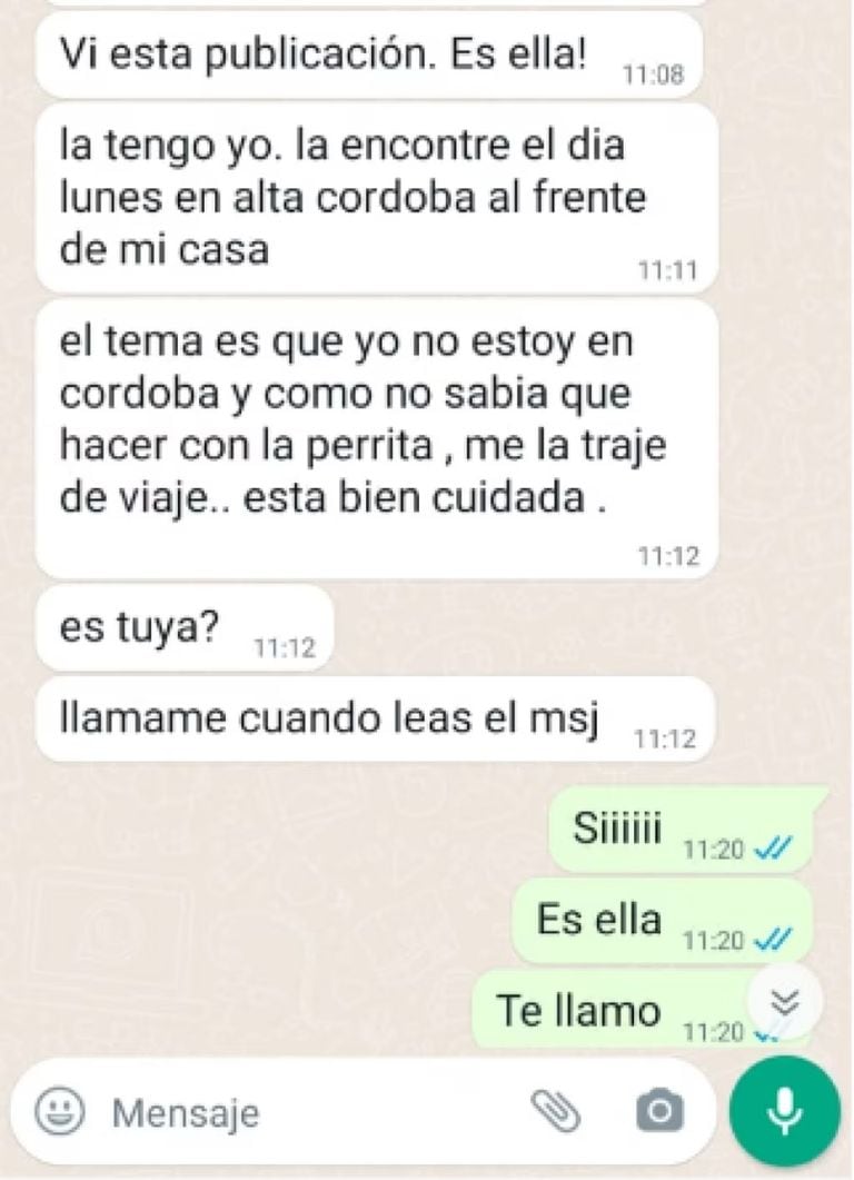 El Chat entre Silvana y Carolina.