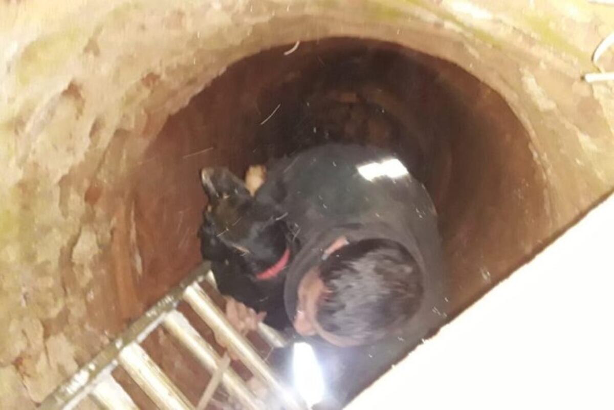 Apóstoles: Bomberos rescatan a un perro que cayó a un pozo