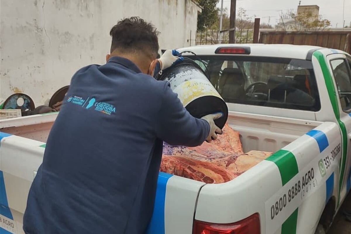 Secuestraron más de 350 kilos de carne en un centro clandestino en Córdoba