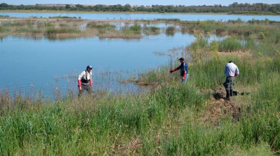 Personal técnico recogió muestras de agua para su estudio 