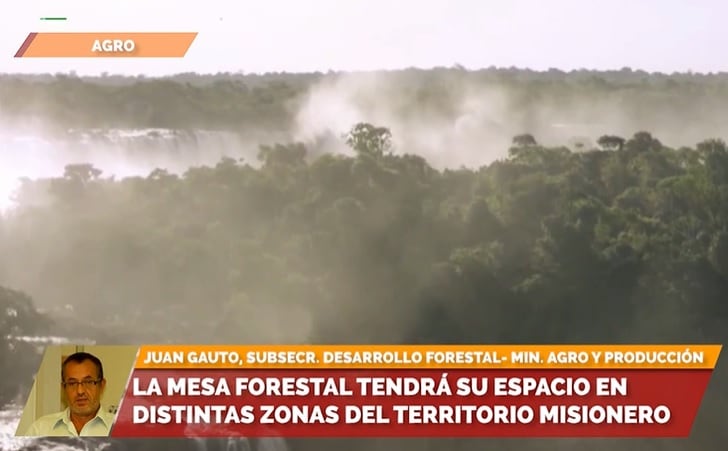 Misiones: la Mesa Forestal recorrerá la provincia promoviendo el cuidado del medio ambiente.