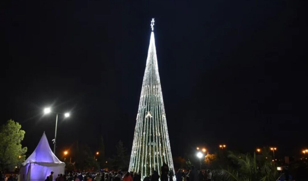 Árbol de Navidad de San Luis