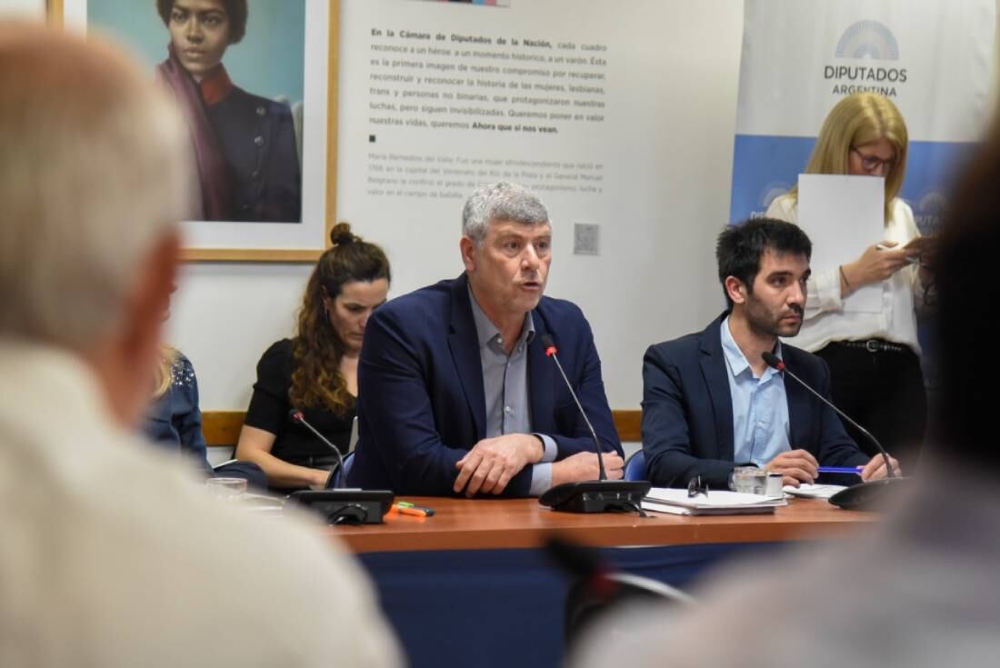 El diputado Ricardo Buryaile (UCR), presidente de la Comisión de Agricultura y Ganadería en la reunión para tratar la Ley de Humedales (Foto: HCDN)