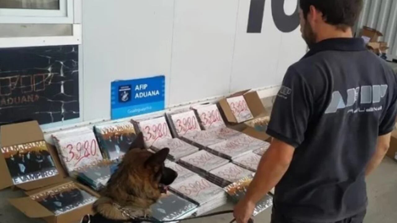 La AFIP utilizó perros adiestrados para revisar la camioneta.