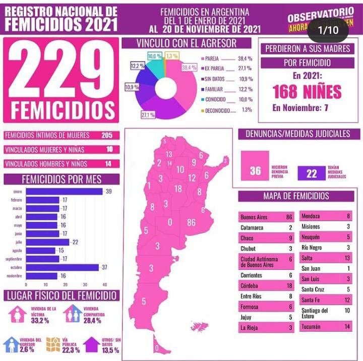 Gráficas que corresponden a noviembre realizadas por el Registro Nacional de Femicidios y el observatorio "ahora que sí nos ven".