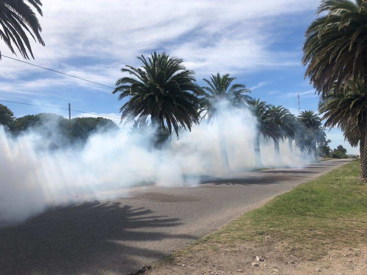 Fumigación contra los mosquitos