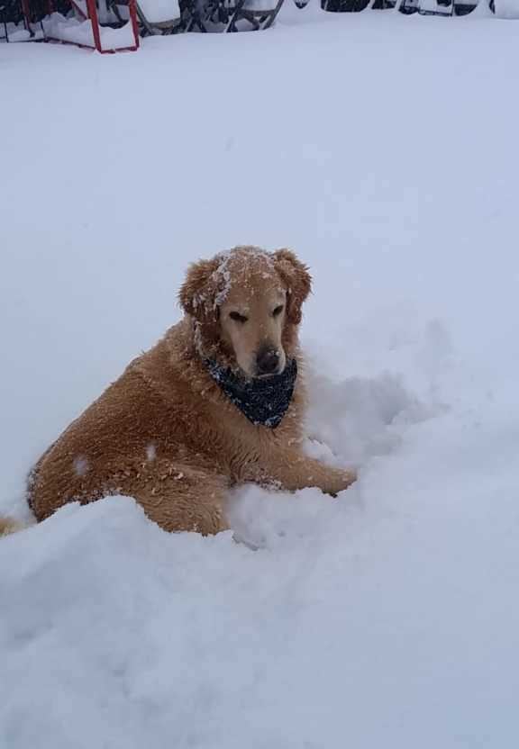 La nieve se instaló en Las Leñas. 