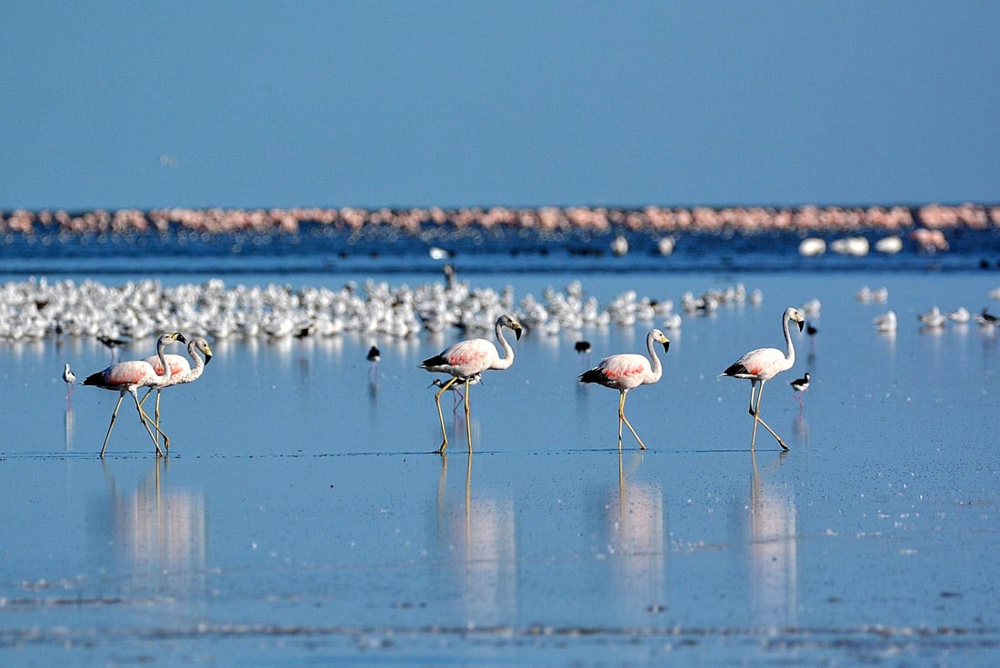 Resera natural mar Chiquita
PARQUE NACIONAL-ANSENUNZA
GENTILEZA Pablo Rodríguez Merkel