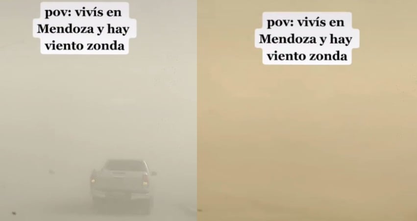 Viento Zonda: el TikTok que se hizo viral por la desesperación de una conductora filmada por su hijo.