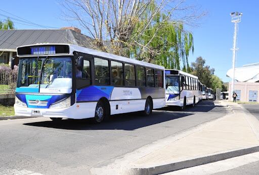 Transporte Polo