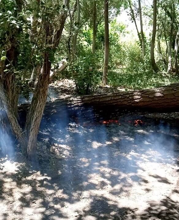 Incendios en Potrerillos