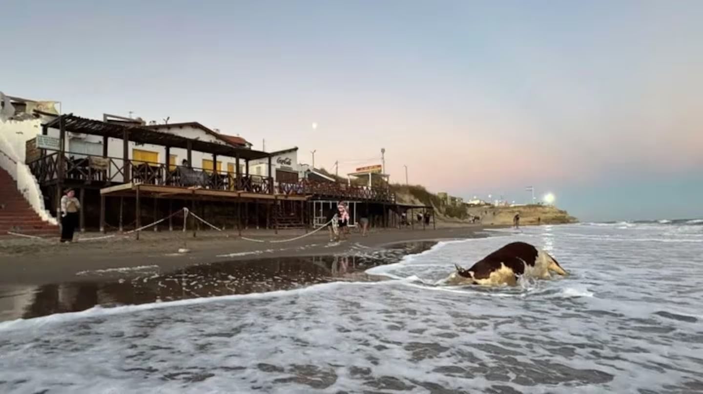 Apareció sin vida en la playa de Las Grutas.