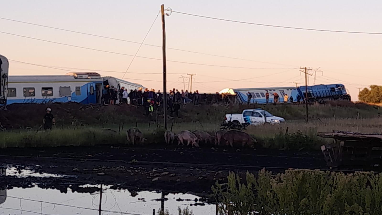 Así fue el accidente de un tren en Olavarría