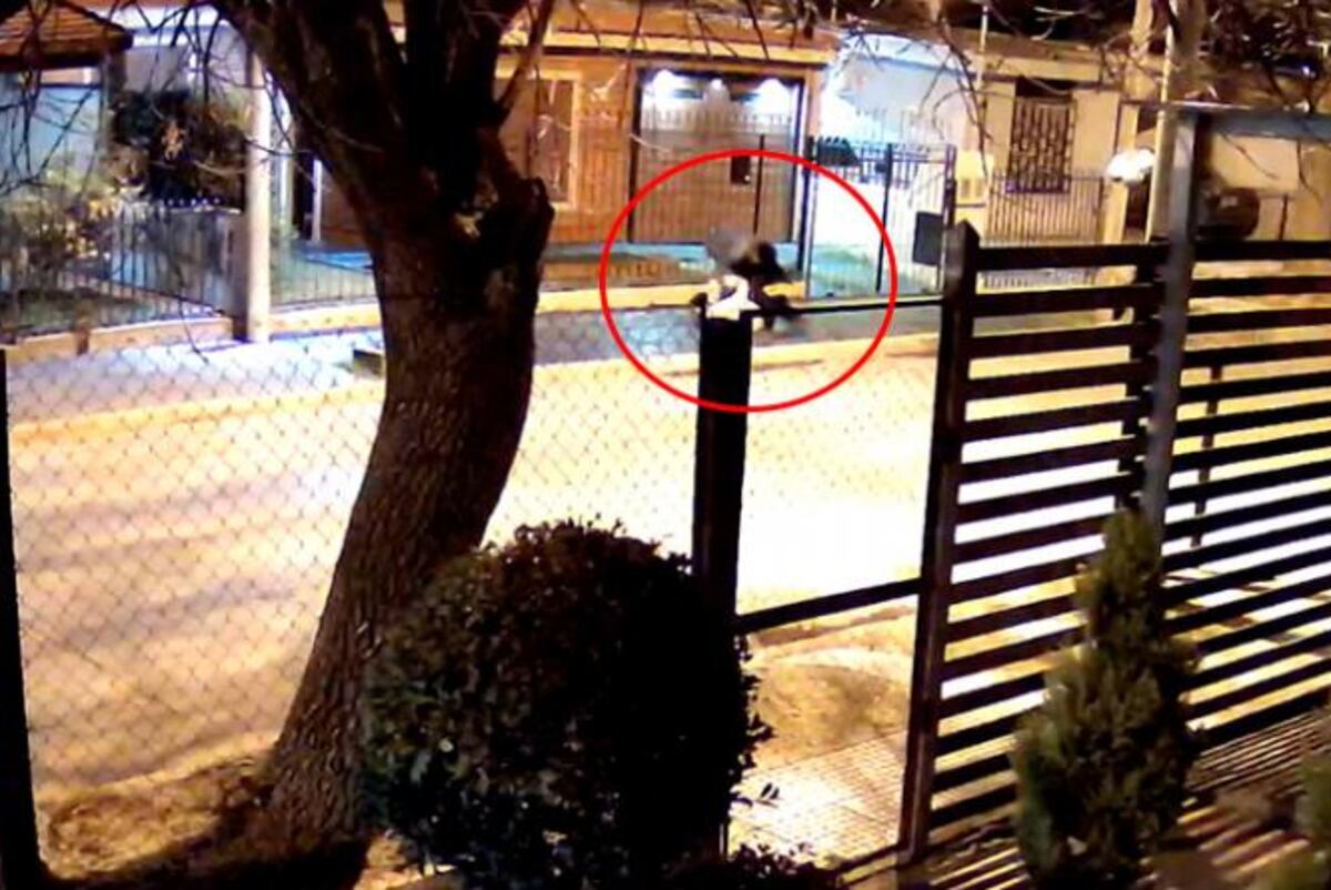 Violento asalto contra una cordobesa de 60 años: el ladrón la arrastró hasta sacarle la cartera