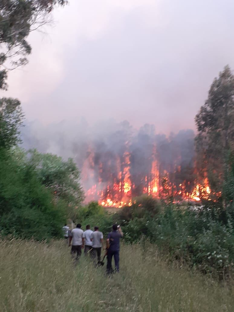 Fuego en las sierras de Tandil