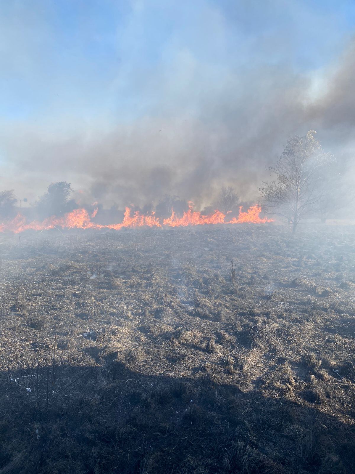 Incendio sobre la autopista Córdoba- Carlos Paz.