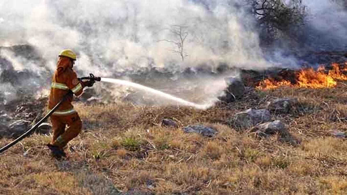 Vientos y bajas temperaturas: hay alerta en Córdoba por alto riesgo de incendio