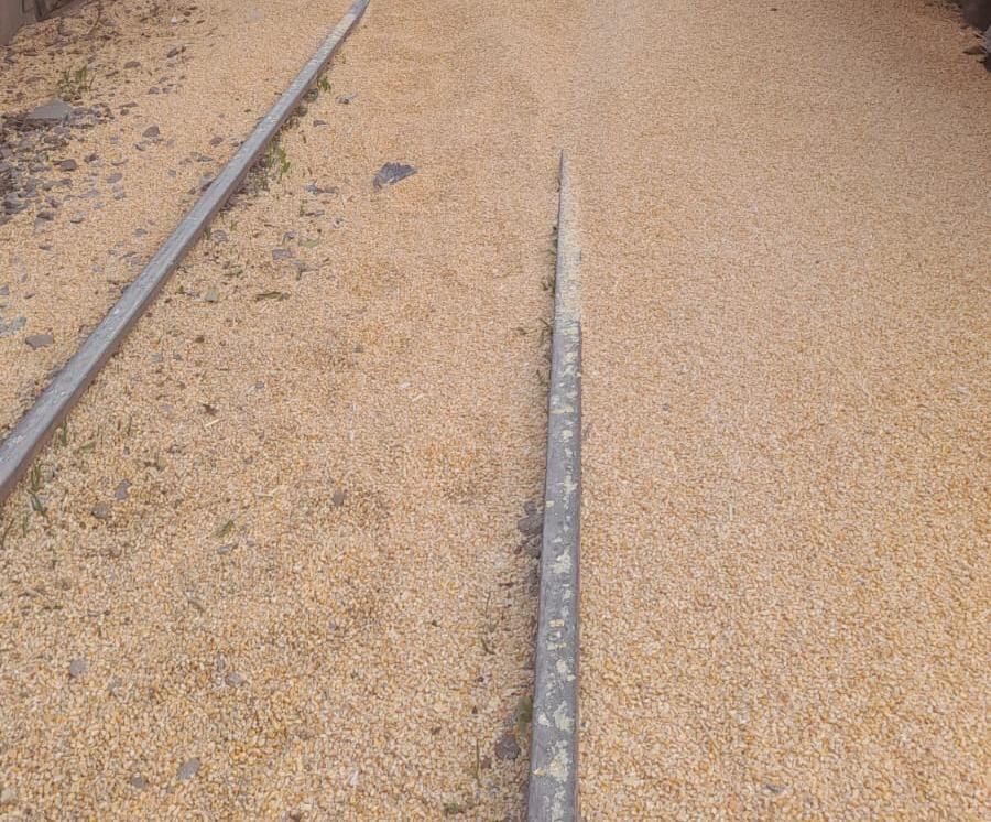 Parte de la carga del tren en barrio Remedios de Escalada.