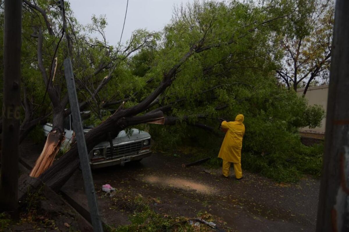 Tormenta: en Alvear precipitaron más de 100 milímetros de agua