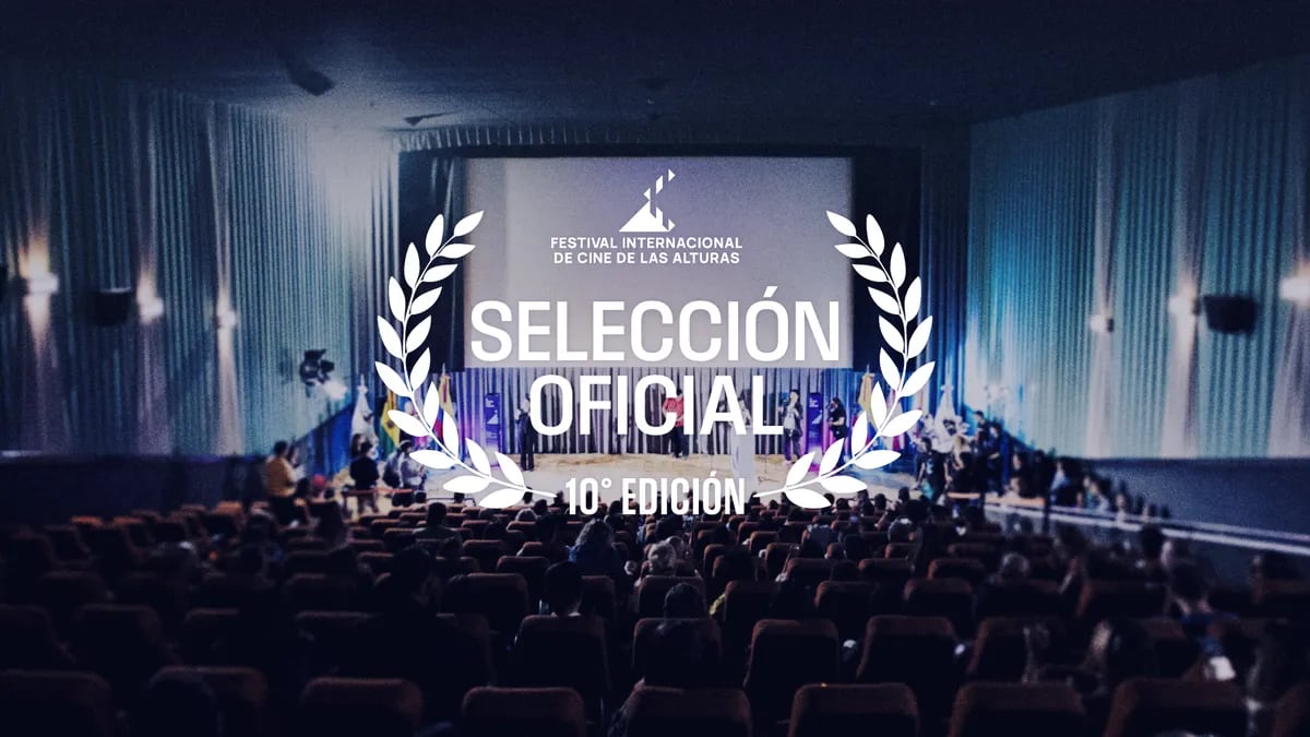 El festival proyectará doce largometrajes de ficción en el segmento principal y en simultáneo también habrá una categoría de documentales y otra dedicada a los cortometrajes, ambas con doce cintas en competición, y un capítulo para obras en desarrollo, con diez proyectos seleccionados.