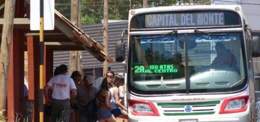 Oberá: paro transporte urbano de pasajeros