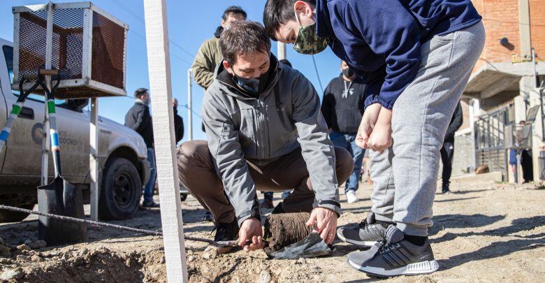 Programa Mi barrio más verde