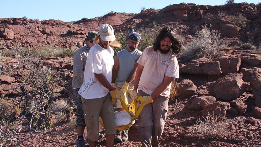 Se estima que los restos óseos son de hace 96.000.000 a 93.000.000 años.