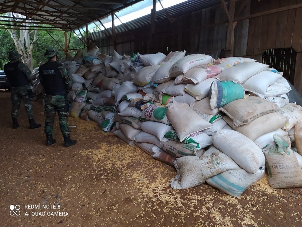 Prefectura Naval Argentina secuestró mega contrabando de maíz.