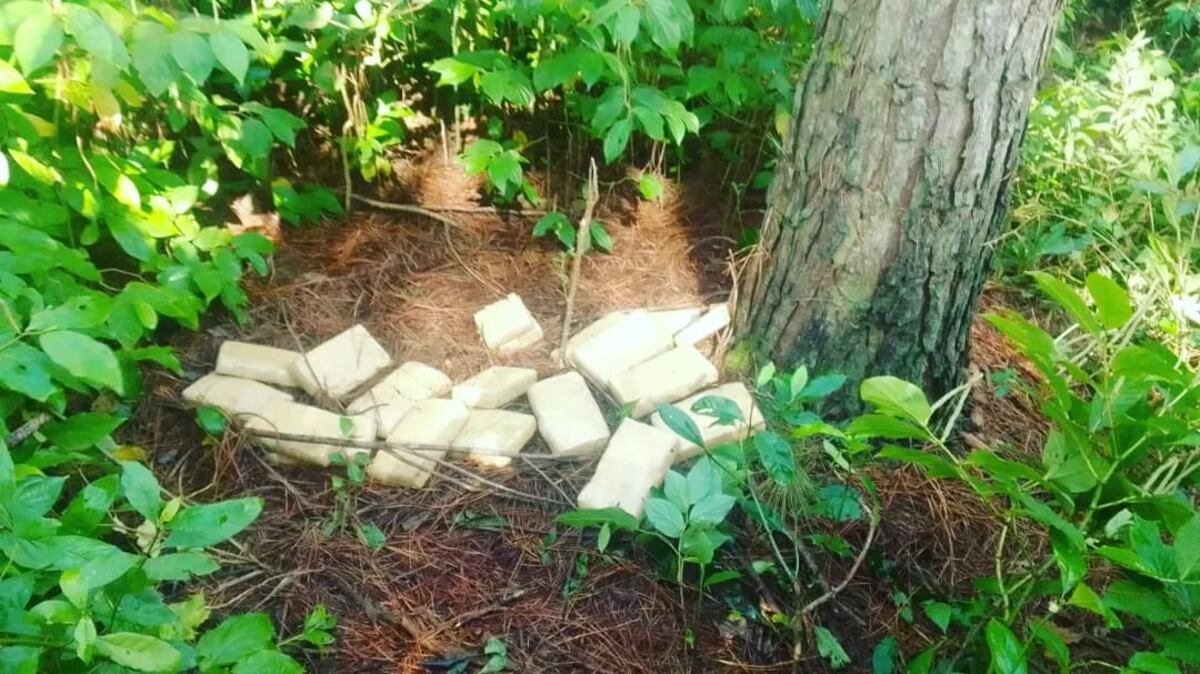 Secuestran cargamento de marihuana en Puerto Iguazú