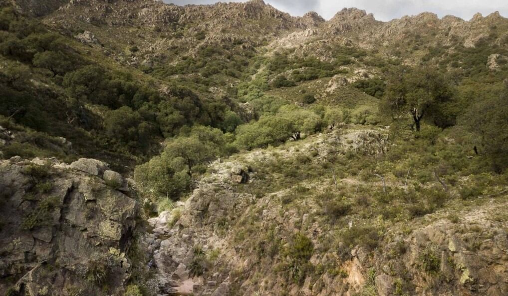 Camino al Chorro de San Ignacio, Villa Larca, San Luis.